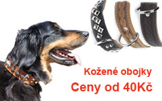 Kožený obojek pro psy