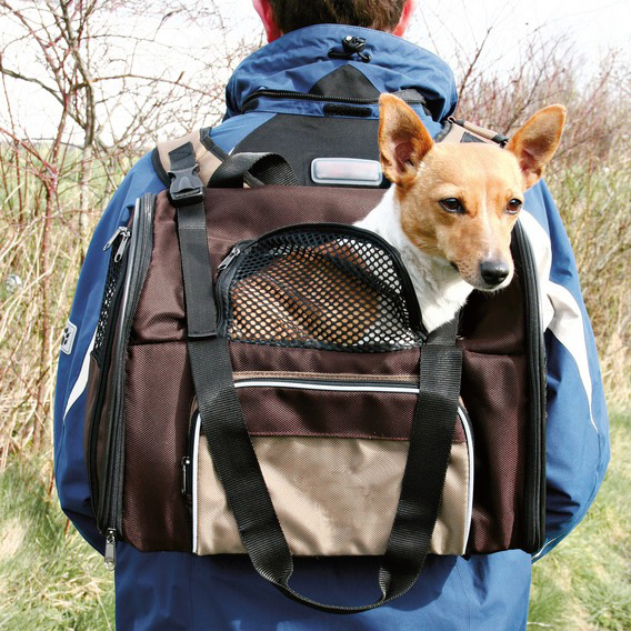 http://www.4animals.cz/inshop/Catalogue/Products/velky/batohtaska1-b.jpg