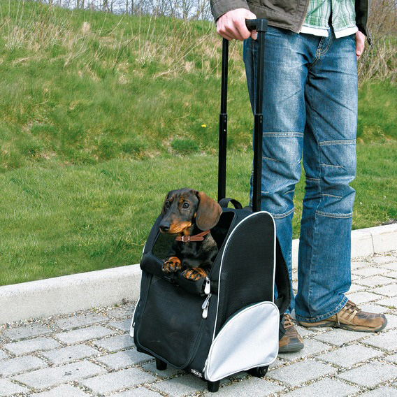 http://www.4animals.cz/inshop/Catalogue/Products/velky/batohvozik1-b.jpg