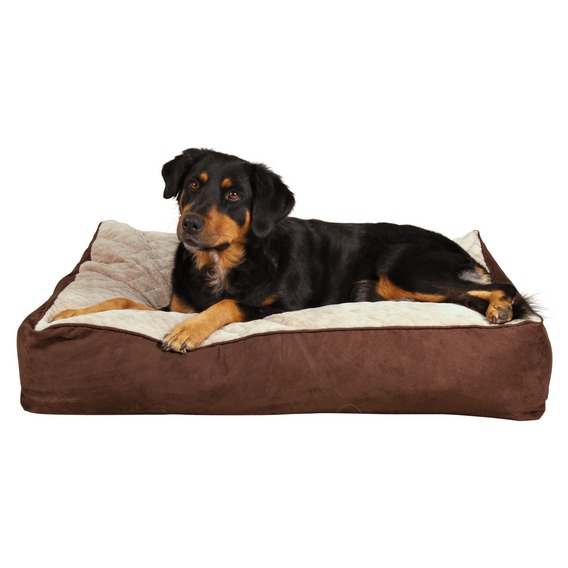 http://www.4animals.cz/inshop/Catalogue/Products/velky/brian_1.jpg