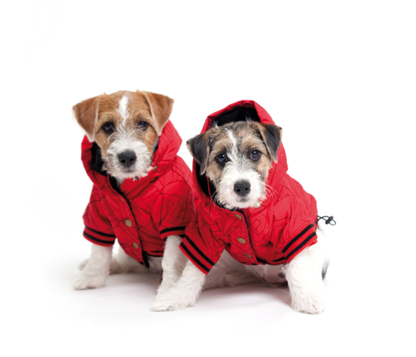 http://www.4animals.cz/inshop/Catalogue/Products/velky/bundacervena-b.jpg