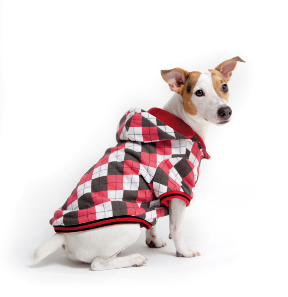 http://www.4animals.cz/inshop/Catalogue/Products/velky/bundakostka-b.jpg