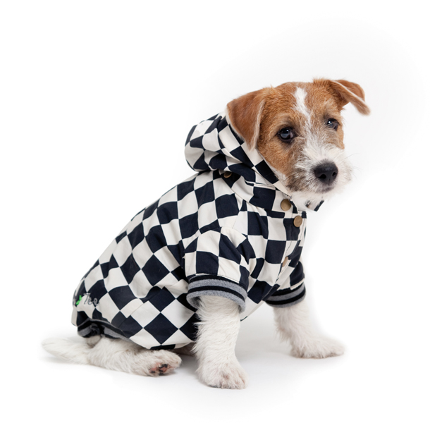 http://www.4animals.cz/inshop/Catalogue/Products/velky/bundamodrkostka-b.jpg