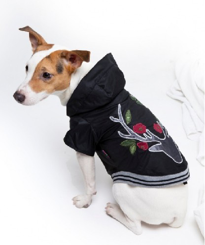 http://www.4animals.cz/inshop/Catalogue/Products/velky/cerna_plastenka1-b.jpg