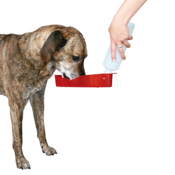 http://www.4animals.cz/inshop/Catalogue/Products/velky/cestlahev2-b.jpg