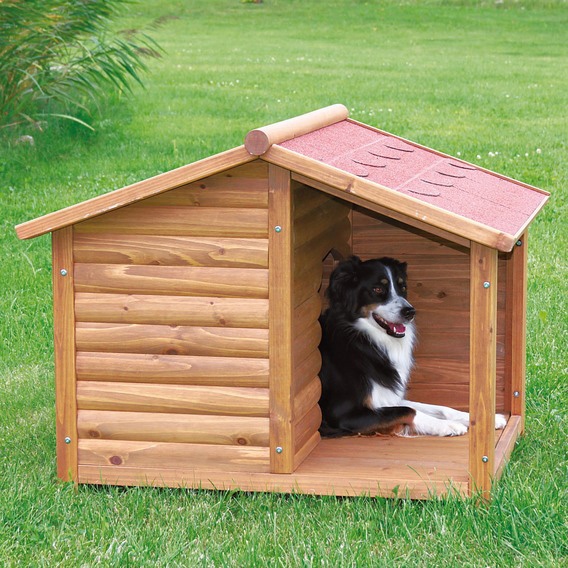 http://www.4animals.cz/inshop/Catalogue/Products/velky/chatbouda-b.jpg