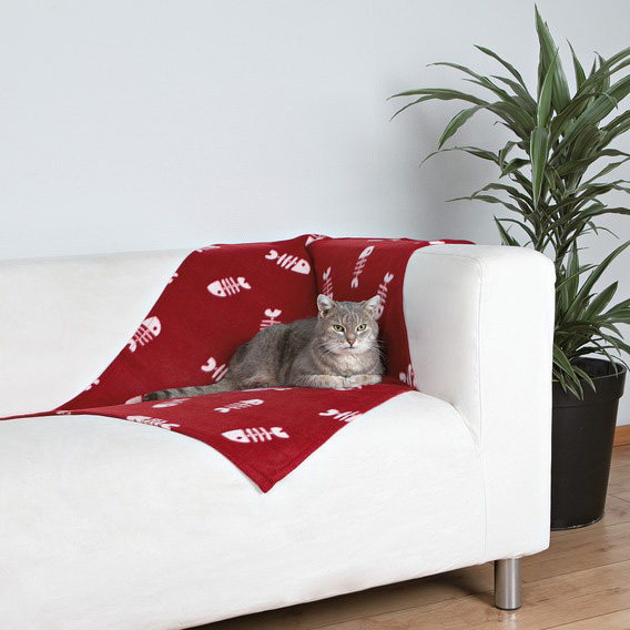 http://www.4animals.cz/inshop/Catalogue/Products/velky/dekabeany-b.jpg