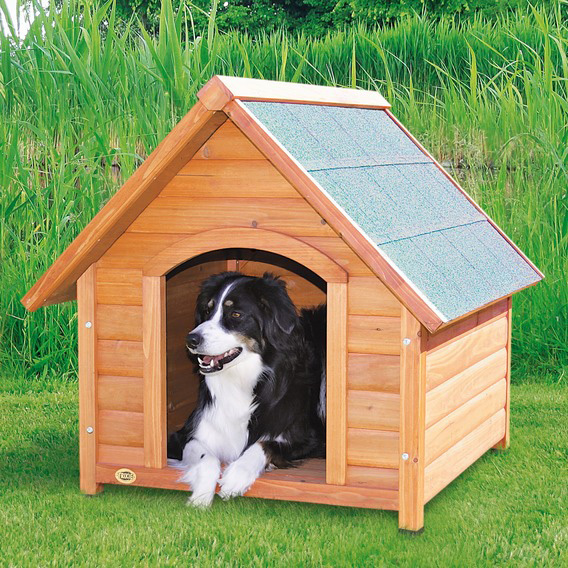 http://www.4animals.cz/inshop/Catalogue/Products/velky/drevbouda1-b.jpg