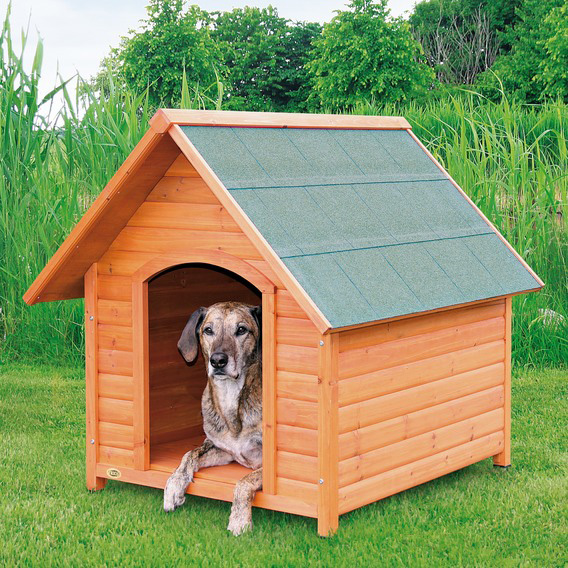 http://www.4animals.cz/inshop/Catalogue/Products/velky/drevbouda3b.jpg