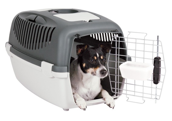 http://www.4animals.cz/inshop/Catalogue/Products/velky/gulliverIII_2.jpg