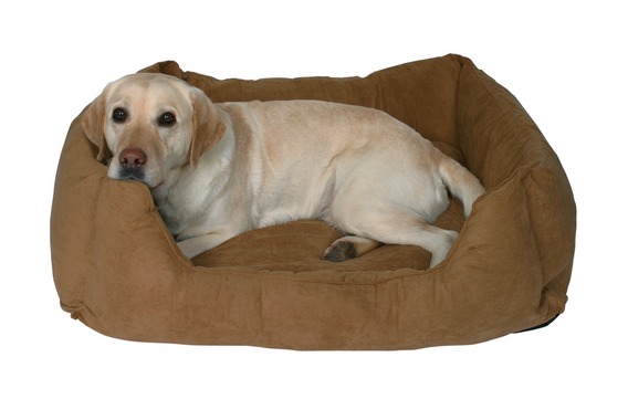 http://www.4animals.cz/inshop/Catalogue/Products/velky/hu_11468.jpg