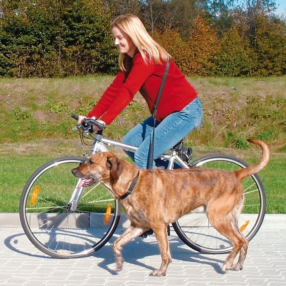 http://www.4animals.cz/inshop/Catalogue/Products/velky/hu_18501_1.jpg