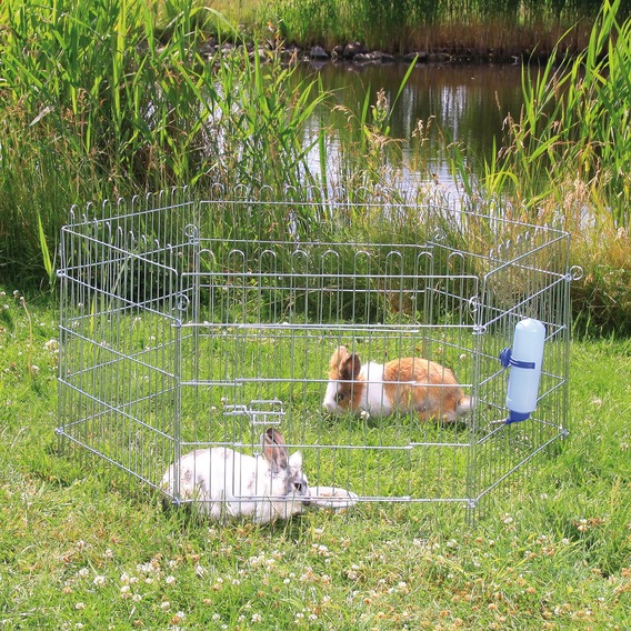 http://www.4animals.cz/inshop/Catalogue/Products/velky/hu_19046_1.jpg