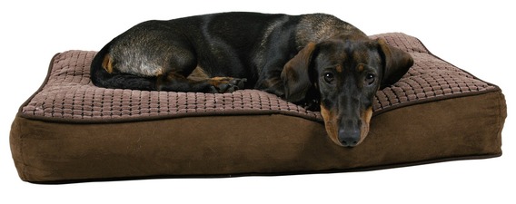 http://www.4animals.cz/inshop/Catalogue/Products/velky/hu_20658.jpg
