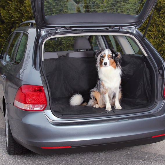 http://www.4animals.cz/inshop/Catalogue/Products/velky/hu_23900_velky.jpg