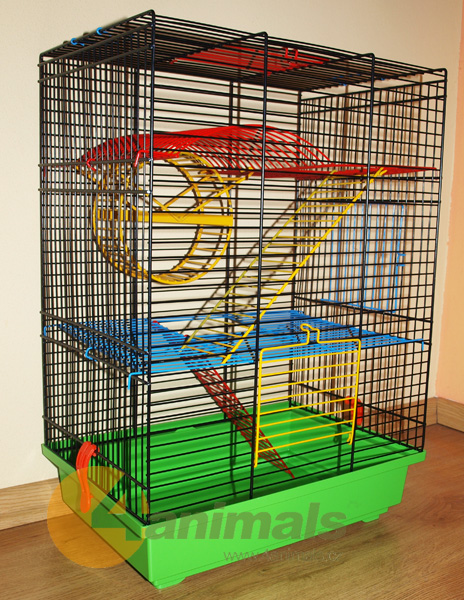 http://www.4animals.cz/inshop/Catalogue/Products/velky/klec_teddyII_kolo1_b.jpg