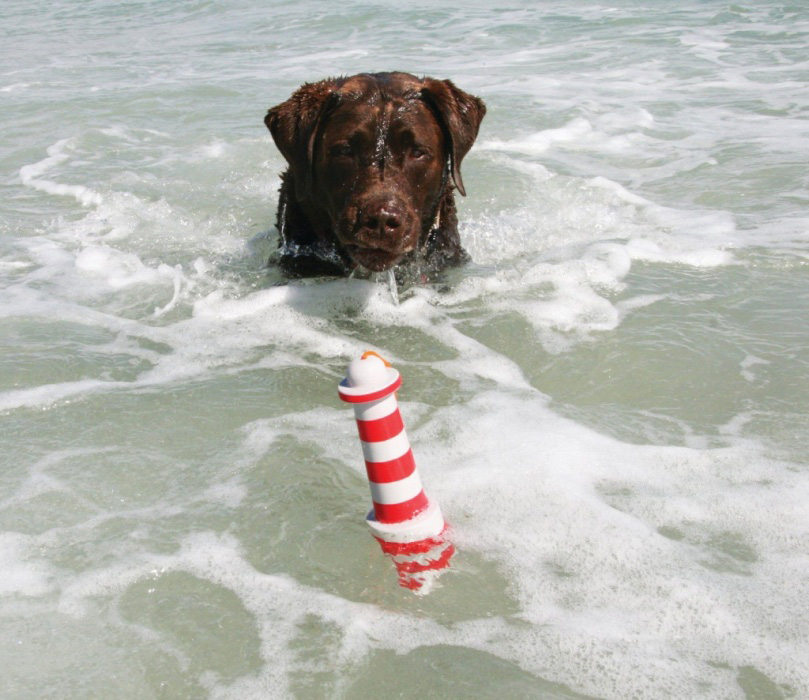 http://www.4animals.cz/inshop/Catalogue/Products/velky/majakhracka2-b.jpg