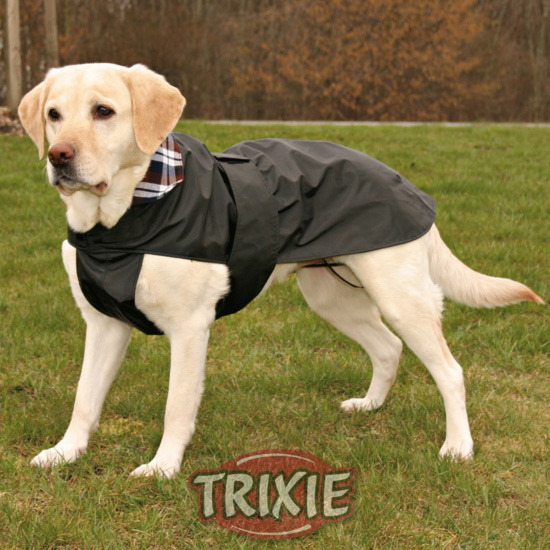 http://www.4animals.cz/inshop/Catalogue/Products/velky/oblekparis-b.jpg