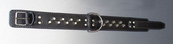 http://www.4animals.cz/inshop/Catalogue/Products/velky/obojekkuzel2-b.jpg