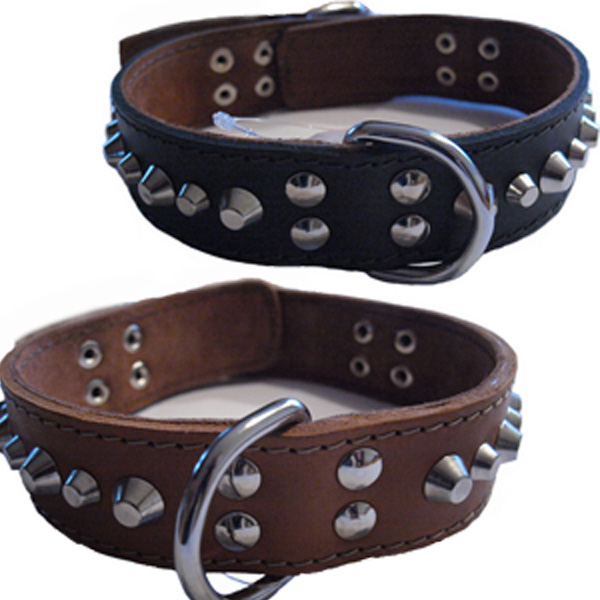 http://www.4animals.cz/inshop/Catalogue/Products/velky/obojekmoloskuzel-b.jpg