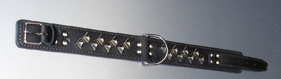 http://www.4animals.cz/inshop/Catalogue/Products/velky/obojekpyramida2-b.jpg