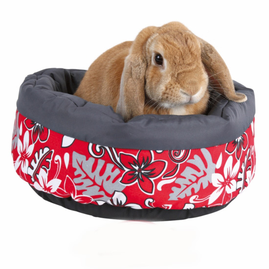 http://www.4animals.cz/inshop/Catalogue/Products/velky/pelisekkralik-g.jpg
