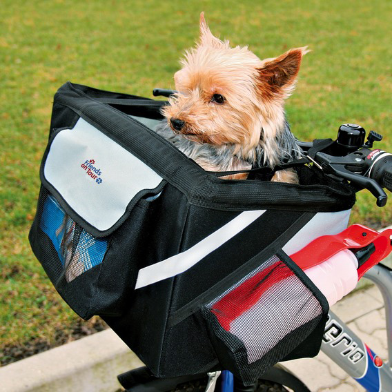 http://www.4animals.cz/inshop/Catalogue/Products/velky/prepravnibox-b.jpg