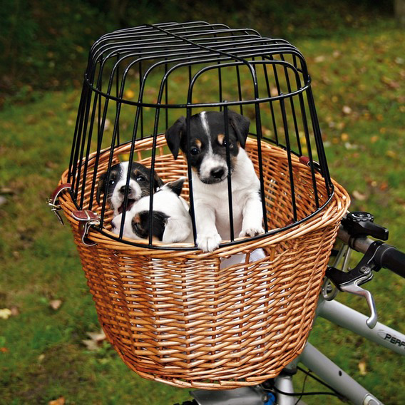 http://www.4animals.cz/inshop/Catalogue/Products/velky/prepravnikos-b.jpg