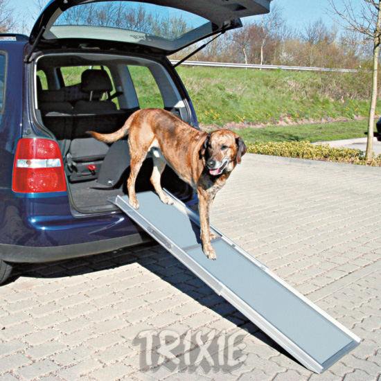 http://www.4animals.cz/inshop/Catalogue/Products/velky/rampa-b.jpg