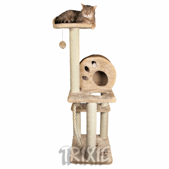 http://www.4animals.cz/inshop/Catalogue/Products/velky/salamanca.jpg