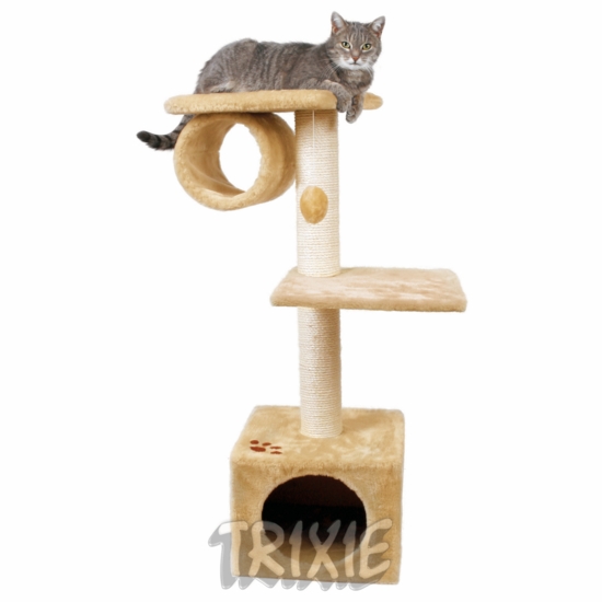 http://www.4animals.cz/inshop/Catalogue/Products/velky/san_fernando.jpg
