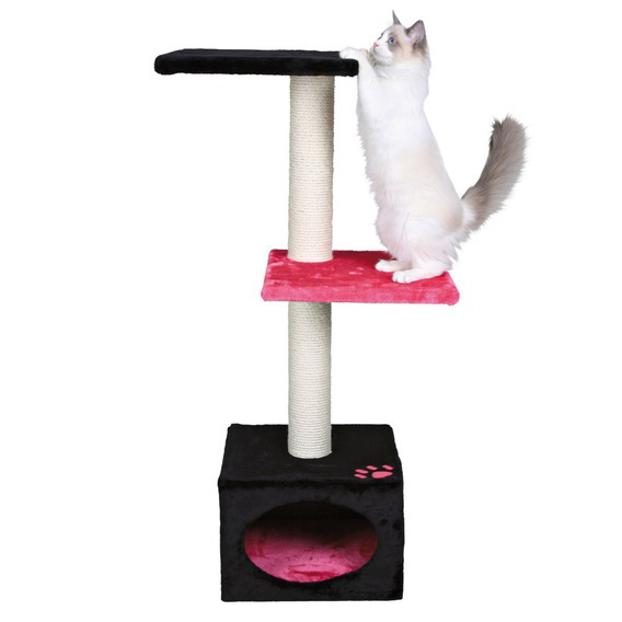 http://www.4animals.cz/inshop/Catalogue/Products/velky/skrabadlo_badalonacer_b.jpg