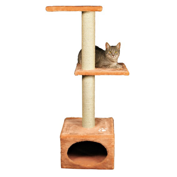 http://www.4animals.cz/inshop/Catalogue/Products/velky/skrabadlo_badalonaor_b.jpg