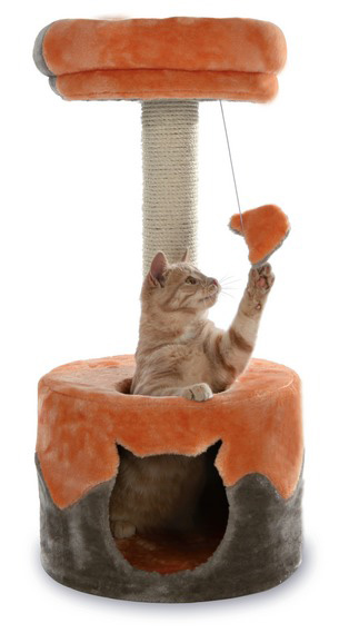 http://www.4animals.cz/inshop/Catalogue/Products/velky/skrabadlo_nuria_b.jpg