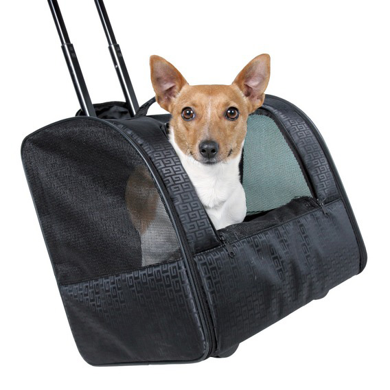 http://www.4animals.cz/inshop/Catalogue/Products/velky/taskaelegvozik1-b.jpg