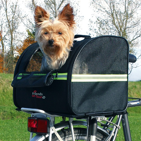 http://www.4animals.cz/inshop/Catalogue/Products/velky/taskakolo-b.jpg