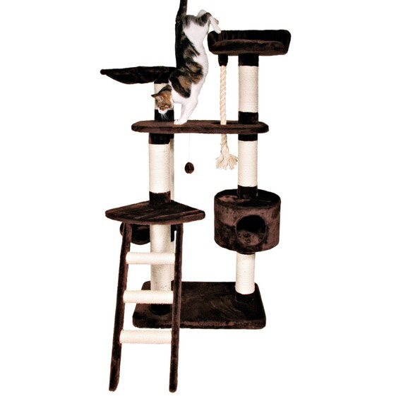 http://www.4animals.cz/inshop/Catalogue/Products/velky/tunelpizarra_b.jpg