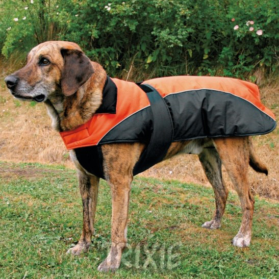 http://www.4animals.cz/inshop/Catalogue/Products/velky/vestaNizza-b.jpg
