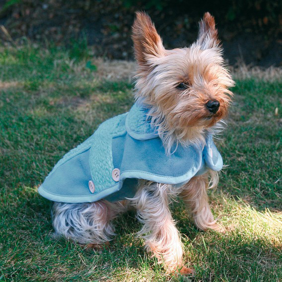 http://www.4animals.cz/inshop/Catalogue/Products/velky/vestamantellilles-b.jpg