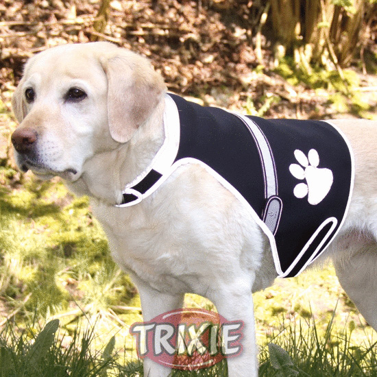 http://www.4animals.cz/inshop/Catalogue/Products/velky/vestapes-b.jpg
