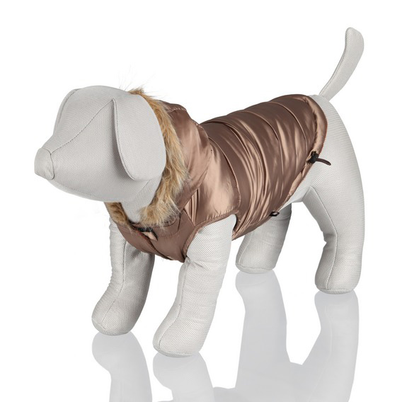 http://www.4animals.cz/inshop/Catalogue/Products/velky/vestickatorino-b.jpg