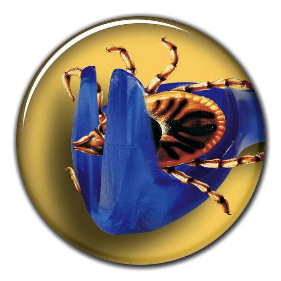 http://www.4animals.cz/inshop/Catalogue/Products/velky/vytahovacklistatak-b.jpg