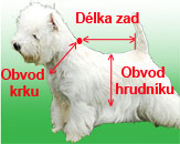 Košile, trička