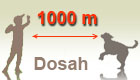 1000