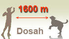 1600