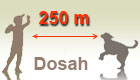 250