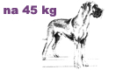 GIANT