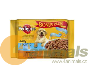 PEDIGREE kapsičky Junior 4 x 100g