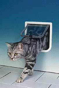 Průchozí dvířka Freecat DeLuxe 4 funkce 21x21cm
