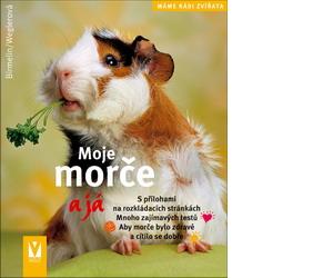 Moje morče a já